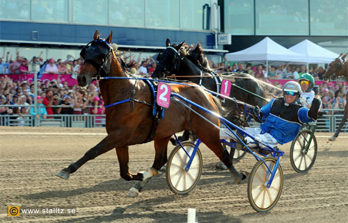  Timoko och Björn Goop 