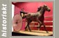  Harness Racing Museum - Historiskt 