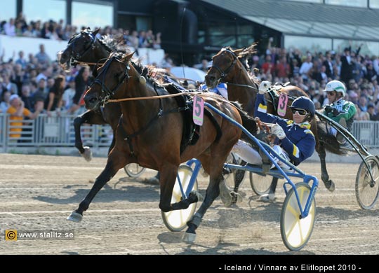  Johnny Takters bästa 