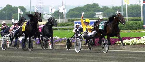  Hambletonian 2001 