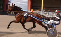  Marsk Burge & Johan Wiman 