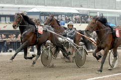  4 Man on the Moon till h&ouml;ger 
