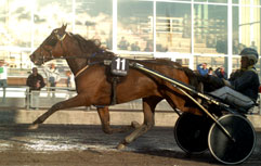  Arkivbild Neona Star 