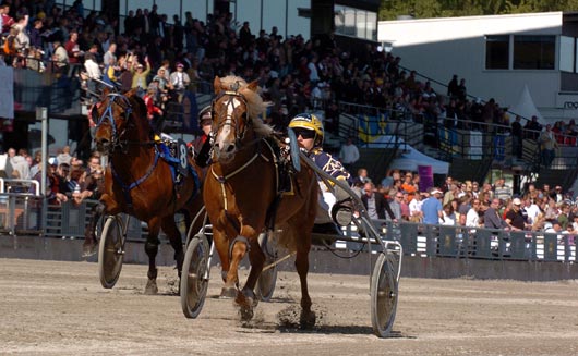  Marcus Melander och  Tyson II  Foto: Adam Str&ouml;m 