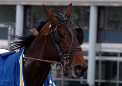  Arkivbild: Athos Sund 
