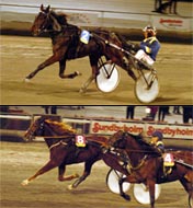  Greenhill�s Candy & Tofastandtofurious Foto: Adam Str&ouml;m 