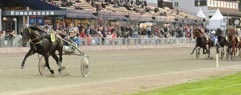  Windshear - varvet kvar 