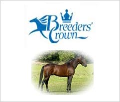  Breeders' Crown 