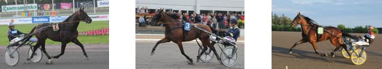 Tre Derby finalister Kadett C.D. Cruise Speed Haraldinho