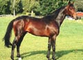 Super Photo Kosmos