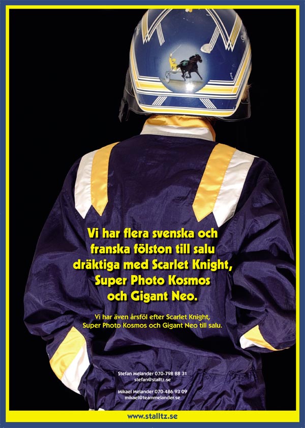  F&ouml;lston till salu 