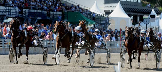  8 BALLERO Ralf Karlstedt 9 SALSA KNIGHT Ulf Ohlsson  5 HIGH STAGE Stefan Melander Foto: Adam Ström