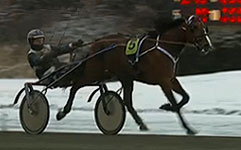  Vinnare Playing Tua 