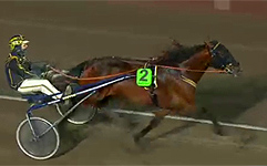  2 Calvin Borel  Foto: ATG Live 