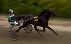  8 Ninepoints Googoo  Foto: ATG Live 