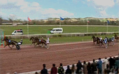  7 Trailing Edge  Foto: LeTrot 