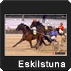  Till Eskilstuna 