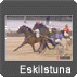  Till Eskilstuna 
