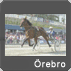  Till �rebro 