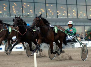  Hook Broline / &Aring;ke Svanstedt  