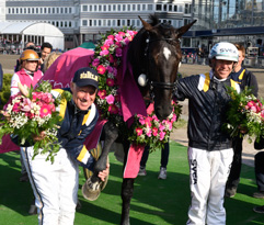  Nuncio, tr&auml;naren och kusken.  Foto: Simon Hagen/Stall T.Z. 