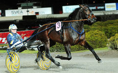  Uncle Lasse  Foto: Stall T.Z. 
