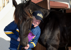  Nuncio och Stefan siktar p&aring; Solvalla V86 onsdag 22 mars  Foto: Lars Jakobsson/Kanal 75 