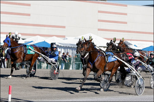  2 Papagayo E  Foto: Mike Lizzi/Yonkers Raceway 